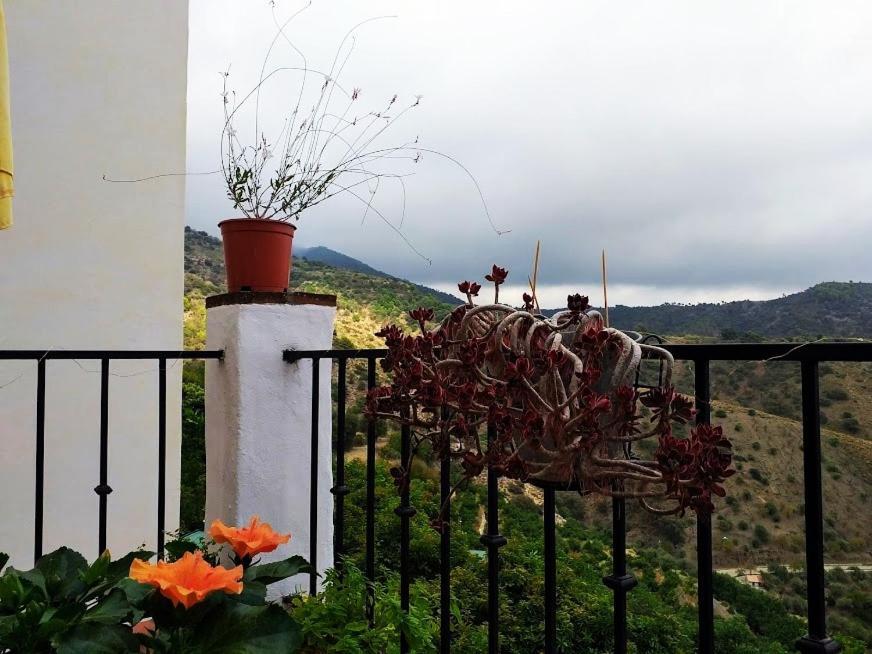 Posada Puente Romano Sedella ภายนอก รูปภาพ